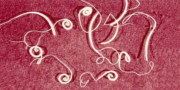 pinworms iš žmogaus kūno